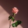 Фото профиля nanase