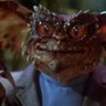 Kinglier's profile picture