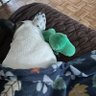 Sophia profil fotoğrafı