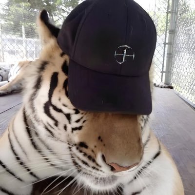 애정's profile picture