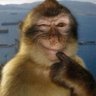 Миссис profil fotoğrafı