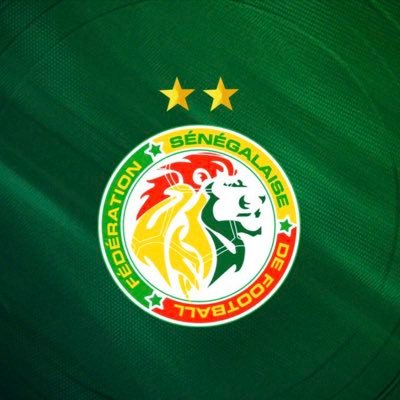 Factos deux étoiles🇸🇳 ♑️👑's profile picture