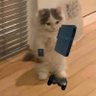 Profilbild von Claire