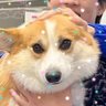 Фото профиля wornor ⋆𐙚 ̊.