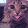 ⌬ evil luis ⌬'s profile picture