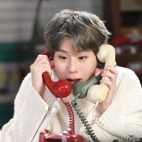 hOneyBee's profile picture