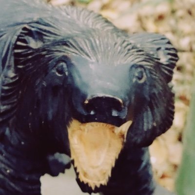 ohiruneco10's profile picture