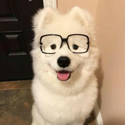 xxxdeadshape's profile picture