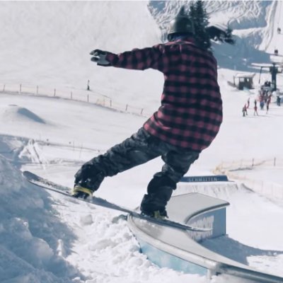 Chcimír 🦁's profile picture