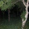 河童福祉法 的头像