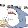 senseiLYM 的头像