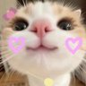 susu's profile picture