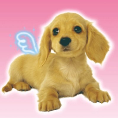 asa's profile picture