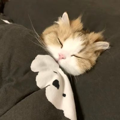 Oooyeduangduang's profile picture
