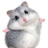 Фото профиля もかしま|小動物LINEスタンプ