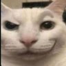 catcher's profile picture