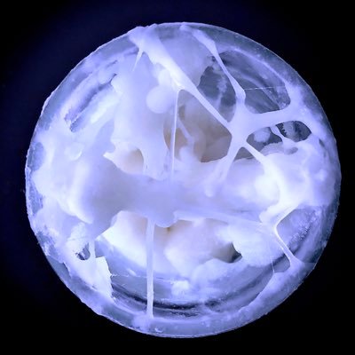 bourquintiery's profile picture