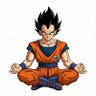 Vegeta's profile picture
