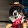 Wootanyo's profile picture