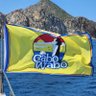 Wabo in Cabo profil fotoğrafı