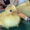 beniX profil fotoğrafı