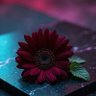 Фото профиля انيقه بتفاصيلي