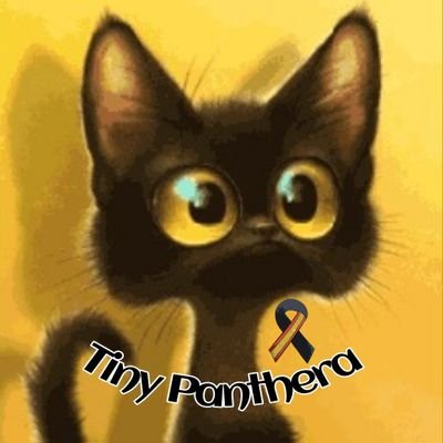 Panterita (Tiny Panthera) 🐈⬛'s profile picture