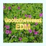 Фото профиля GoototheWeest EDM