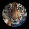 Profilbild von Lady Tigress