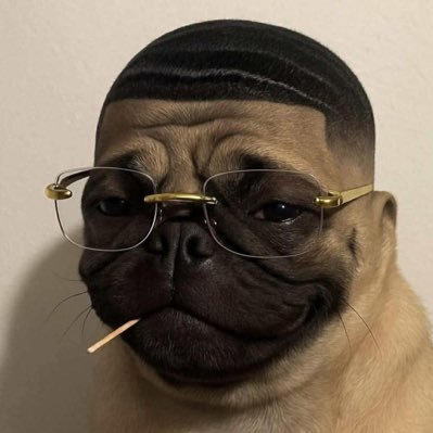 Ayo's profile picture