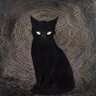 black cat's profile picture