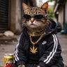 Profilbild von Sbcst