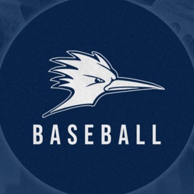 StateFairBSBL's profile picture
