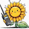 kc5fm's profile picture