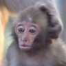 Ingrid's profile picture
