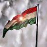 الجلاد الكوردي's profile picture