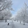 Фото профиля BambooinAlberta