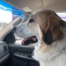 Mookie's Ghost's profile picture
