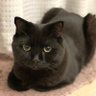 Horas Kitty's profile picture