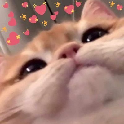 SPhechr21915's profile picture