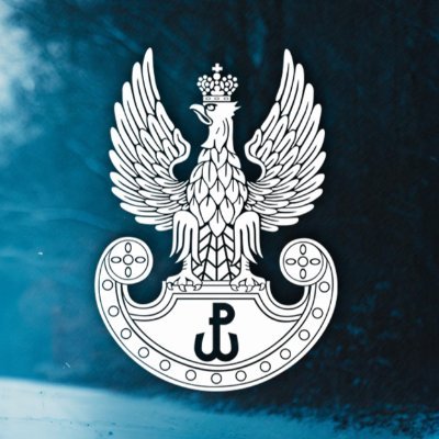 Terytorialsi | Zawsze Gotowi, Zawsze Blisko!'s profile picture