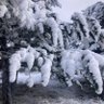 Asutay Mete profil fotoğrafı