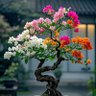 Lovelife 的头像