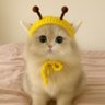 Profilbild von みほ
