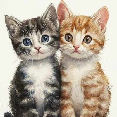Daily Cat Posts's profile picture