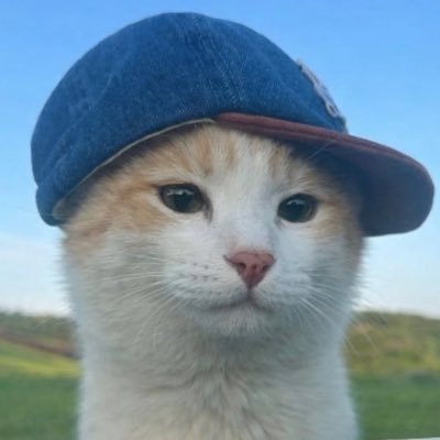 MIAOmiaomiao_ou's profile picture