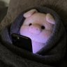 Best Combat Pro Player's profile picture