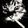 sweet3scape's profile picture