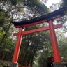 つなぽん profil fotoğrafı