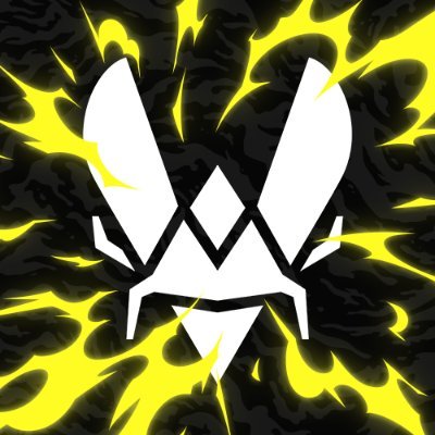 Team Vitality VALORANT's profile picture
